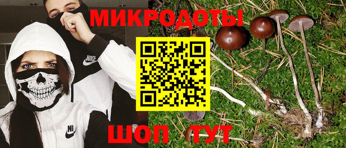 Галлюциногенные грибы Cubensis Чистополь